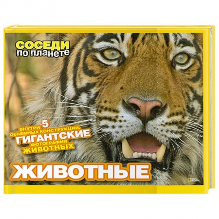 Книги, книга Животные. Внутри 5 объемных конструкций. Гигантские фотографии животных. купить по низкой цене