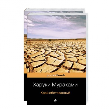 Зарубежная современная проза, книга Подземка. Край обетованный (комплект из 2 книг) купить по низкой цене