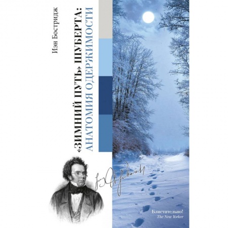 Музыка, книга Зимний путь Шуберта: анатомия одержимости купить по низкой цене