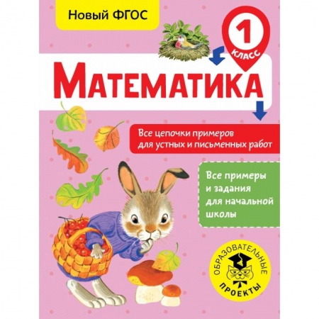 Образовательные системы. 1-4 классы, книга Математика. Все цепочки примеров для устных и письменных работ. 1 класс купить по низкой цене