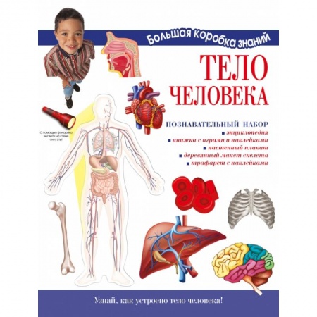 Познавательная литература, книга Тело человека. Познавательный набор купить по низкой цене