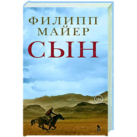 Зарубежная современная проза, книга Сын купить по низкой цене