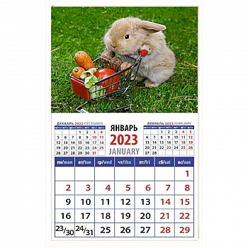 Календарь Год кролика. Все свое вожу с собой на 2023 год