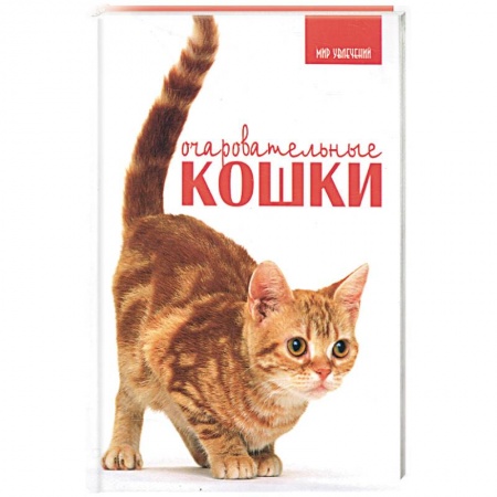Книги, книга Очаровательные кошки купить по низкой цене
