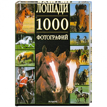 Книги, книга Лошади. 1000 фотографий купить по низкой цене