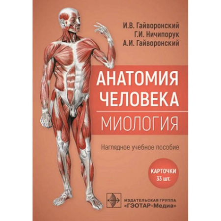 Анатомия и физиология человека, книга Анатомия человека. Миология. Карточки. Наглядное учебное пособие купить по низкой цене