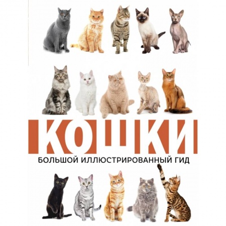 Кошки, книга Кошки купить по низкой цене
