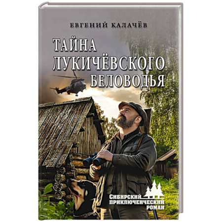 Русская современная проза, книга Тайна Лукичёвского Беловодья купить по низкой цене