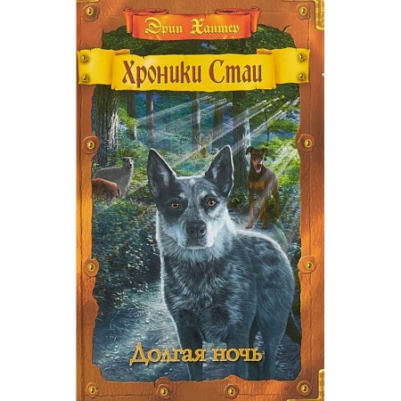 Мистика. Фантастика. Фэнтези, книга Долгая ночь купить по низкой цене
