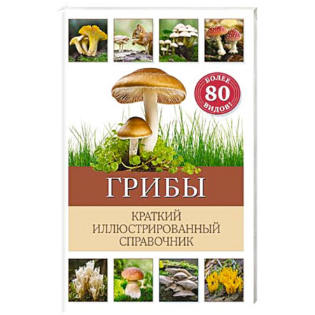 Животный и растительный мир, книга Грибы. Краткий иллюстрированный справочник купить по низкой цене
