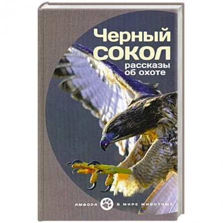 Книги, книга Черный сокол. Рассказы об охоте купить по низкой цене