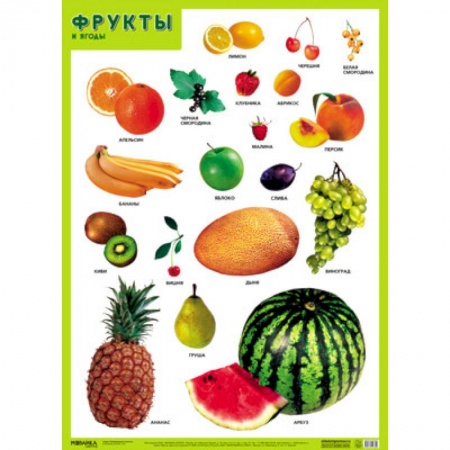 Окружающий мир, книга Фрукты и ягоды . Развивающие плакаты купить по низкой цене