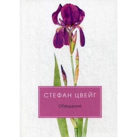 Зарубежная современная проза, книга Обещание купить по низкой цене