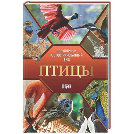 Животный и растительный мир, книга Птицы. Иллюстрированный гид купить по низкой цене