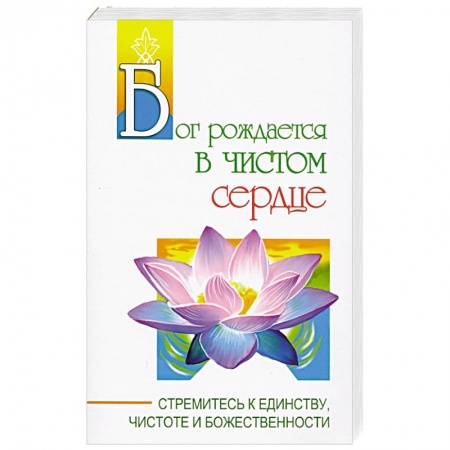 Другие эзотерические учения, книга Бог рождается в чистом сердце. Стремитесь к единству, чистоте и божественности купить по низкой цене