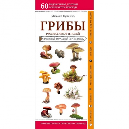 Грибы. Справочники. Определители, книга Грибы русских лесов и полей купить по низкой цене