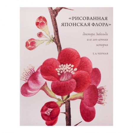 Живопись, книга Рисованная Японская Флора доктора Зибольда и ее 200-летняя история купить по низкой цене