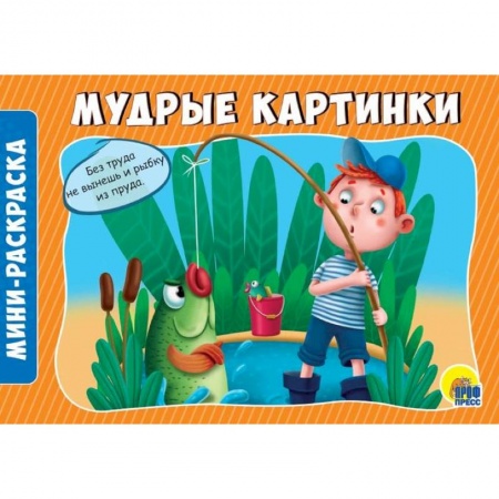 Раскраски на любой вкус, книга Раскраски А5. Альбомные. Мудрые картинки купить по низкой цене