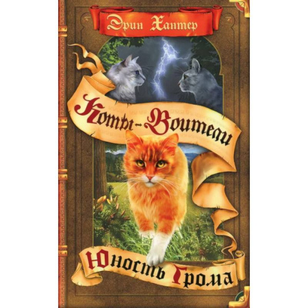Мистика. Фантастика. Фэнтези, книга Коты-воители. Юность Грома купить по низкой цене