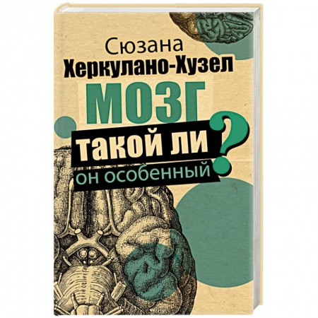 Анатомия и физиология человека, книга Мозг. Такой ли он особенный? купить по низкой цене