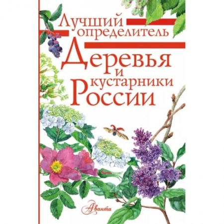 Животный и растительный мир, книга Деревья и кустарники России. Определитель купить по низкой цене