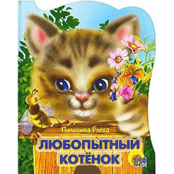 Вырубка. Любопытный котенок