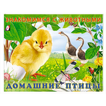 Животный и растительный мир, книга Домашние птицы купить по низкой цене