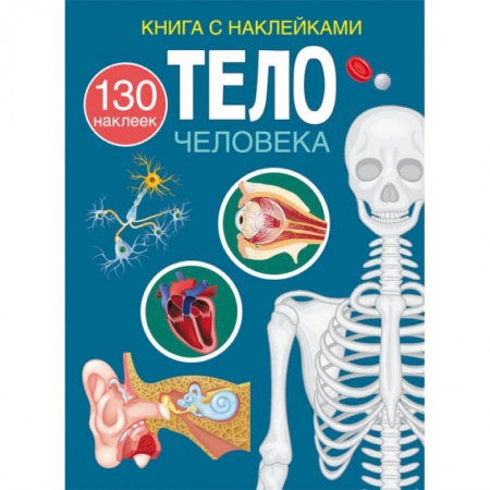 Человек. Земля. Вселенная, книга Книга с наклейками. Тело человека купить по низкой цене