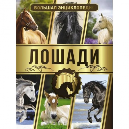 Приусадебное животноводство, книга Большая энциклопедия. Лошади купить по низкой цене