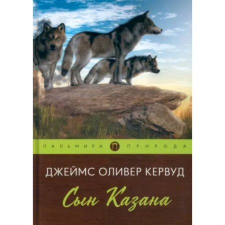 Зарубежная классика, книга Сын Казана купить по низкой цене