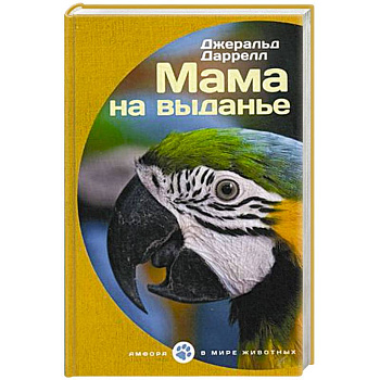Мама на выданье