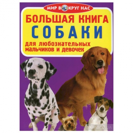 Животный и растительный мир, книга Большая книга. Собаки. Для любознательных мальчиков и девочек купить по низкой цене