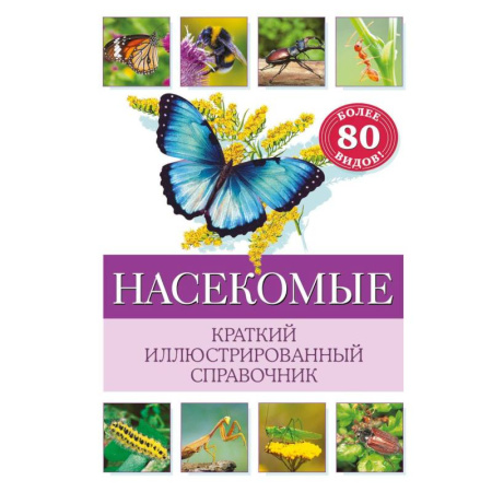 Природоведение. Окружающий мир, книга Насекомые. Краткий иллюстрированный справочник купить по низкой цене