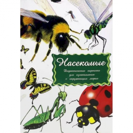 Животный и растительный мир, книга Дидактические карточки. Насекомые купить по низкой цене