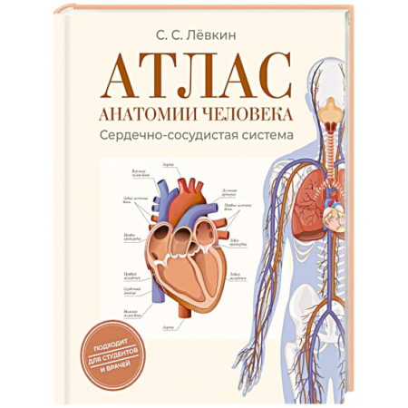 Анатомия и физиология человека, книга Атлас анатомии человека. Сердечно-сосудистая система купить по низкой цене