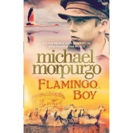 Чтение на английском языке, книга Flamingo Boy купить по низкой цене