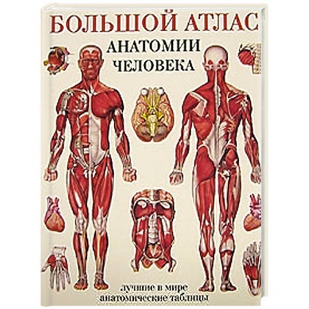 Книги, книга Большой атлас анатомии человека купить по низкой цене