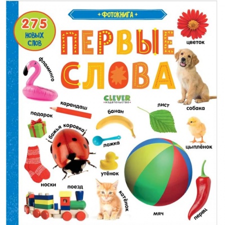 Знакомство с миром, развитие малыша, книга Фотокнига. Первые слова купить по низкой цене