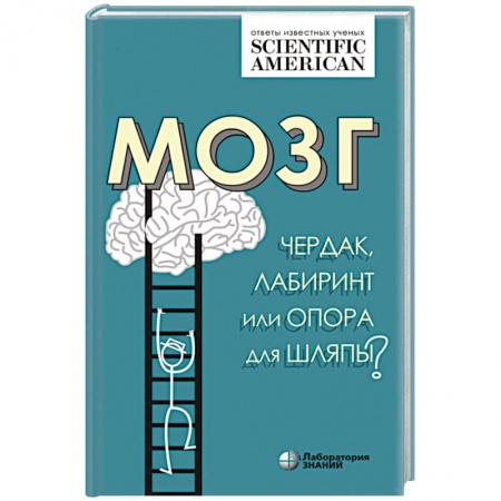 Анатомия и физиология человека, книга Мозг: чердак, лабиринт или опора для шляпы? купить по низкой цене