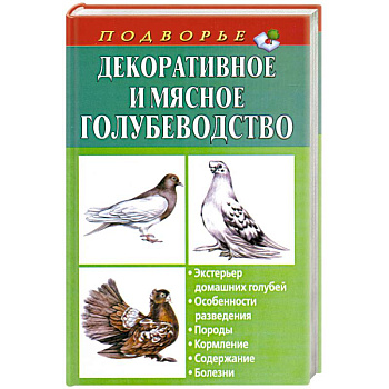 Декоративное и мясное голубеводство