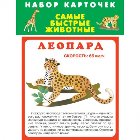 Другое, книга Набор карточек. Самые быстрые животные купить по низкой цене