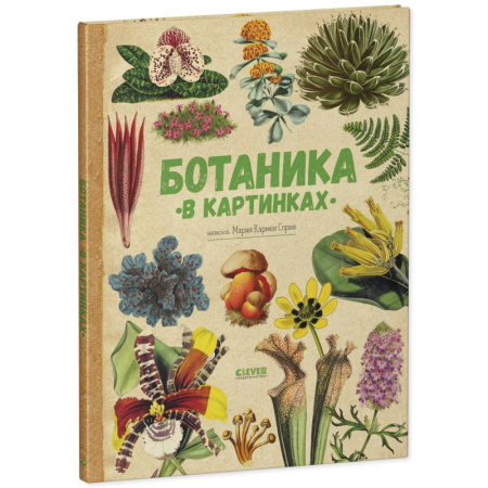 Животный и растительный мир, книга Ботаника в картинках купить по низкой цене
