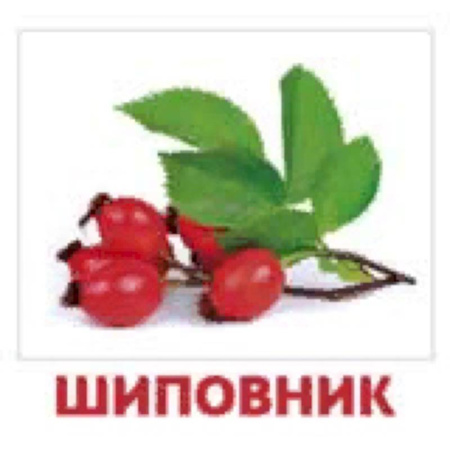 Развитие общих способностей, книга Комплект карточек 'Ягоды' купить по низкой цене