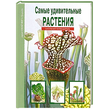 Самые удивительные растения. Школьный путеводитель