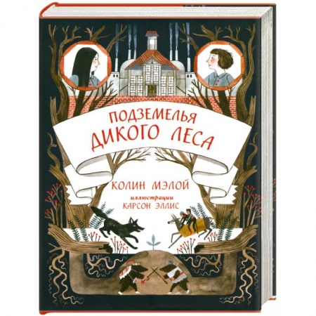 Книги, книга Подземелья Дикого леса купить по низкой цене