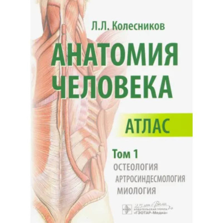 Анатомия и физиология человека, книга Анатомия человека. Атлас в 3-х томах. Том 1. Остеология, артросиндесмология, миология купить по низкой цене