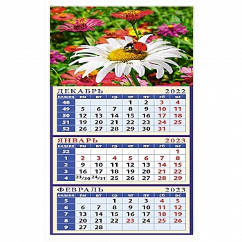 Календарь Божья коровка на ромашке на 2023 год