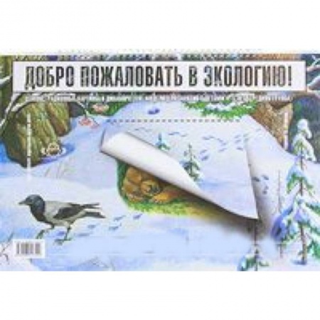 Книги, книга Добро пожаловать в экологию! Демонстрационные картины и динамические модели для занятий с детьми 4-5 лет (Средняяя группа) купить по низкой цене