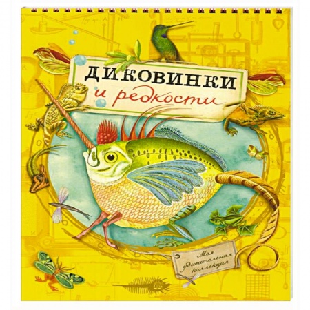 Другое, книга Моя удивительная коллекция. Диковинки и редкости купить по низкой цене