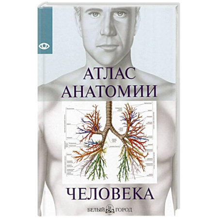Анатомия и физиология человека, книга Атлас анатомии человека купить по низкой цене